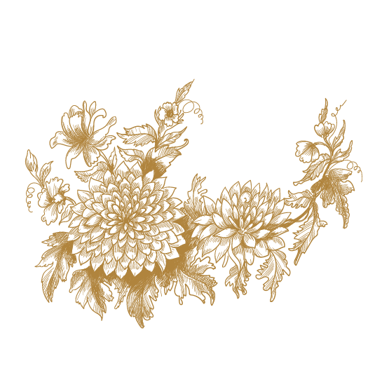 Illustration einer Chrysantheme wie im berühmten Meissener Zwiebelmuster